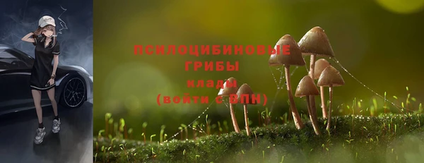 стафф Теберда